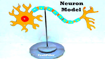 neuron model (3d) making for science fair project | diy at home | CraftPiller  | still model