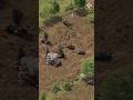 This new WW2 RTS looks insane.