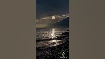 Nature Videos 4k #short