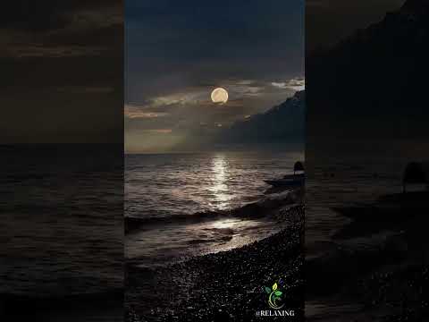 Nature Videos 4k