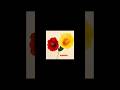 how to make the paper flowers 🌺#viral #art #shortvideo #ytshortsindia