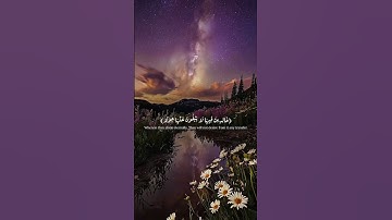 #ارح_قلبك #المصحف #قرآن #اكسبلور #quran #الحناجر_الذهبيه #عبدالرحمن_مسعد #راحة_نفسية #تلاوات