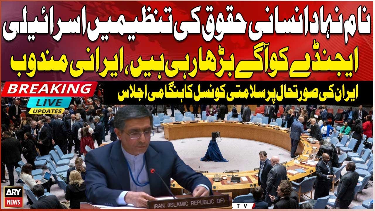 So-called human rights organizations are advancing the Israeli agenda, Iranian delegate says