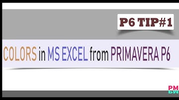 How to get P6 WBS Colors Automatically || Primavera P6 Export to Excel.
