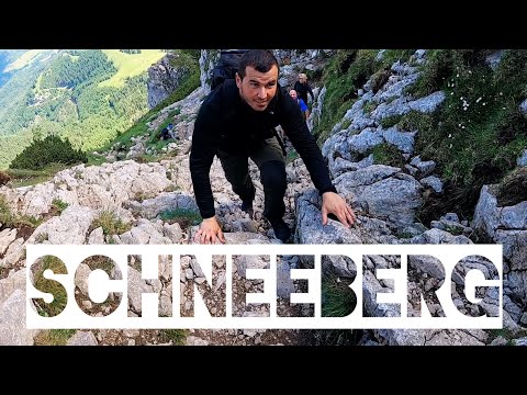 Schneeberg über Fadensteig 🏔 (Hiking Vlog)