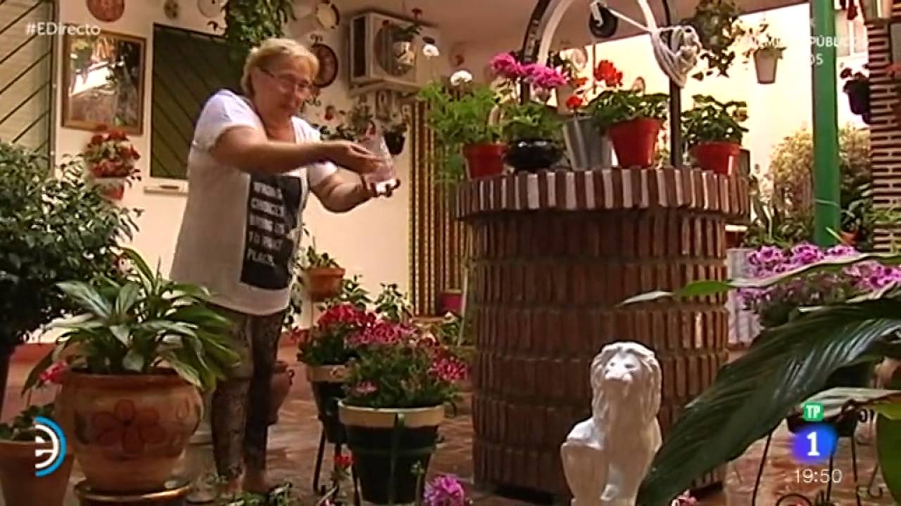 Los corralones de Málaga, España Directo