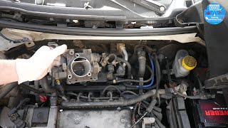 Pulizia Completa Corpo Farfallato Fiat Panda 169