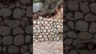 Taş duvar #inşaat #kartal12 #funny #viral #viralvideo #fyp #love #keşfet #freefire #humor #bgmi #new