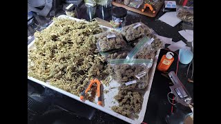Stole His Free Weed.. Jan 15-22