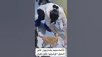 يلهوي دني كنت مفكرته حبل الي يخاف من الشعبان يطلعلوه 