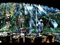 Metamorphosis- Ayahuasca Documentary