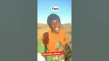 Nawakumbusha Tu Funny Mpembacomedy Shots 