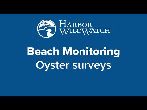 Beach Monitoring -