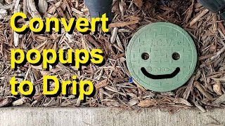 Converting sprinkler popups to drip | The conventional way