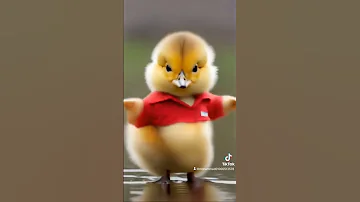 او او او محمد هنيدى 