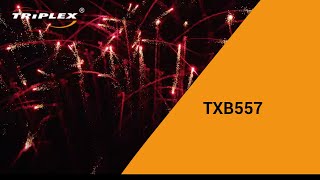 FAJERWERKI TXB557 CAKE 100S 1 2” V TRIPLEX FIREWORKS