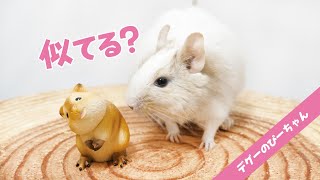 ちーちゃんねる Chiichannelの年収 収入はいくら Youtube ユーチューブ