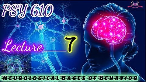 PSY610 || Lecture 7 || Neurological Bases of Behavior || Short Lecture || VU Lectures