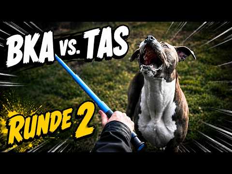 BKA vs. TAS - Contradiction!!