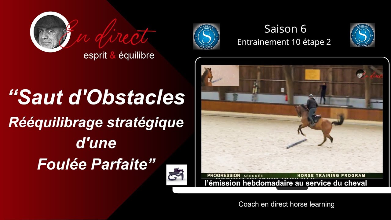 Saut d'obstacles - Un sport où il faut enchaîner un parcours d'obstacles  sans faire de faute - Au Coeur des Chevaux par WebEquitation®