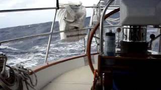 Dead downwind in a gale 1