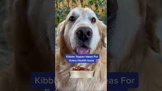 Relieve Itchy Dog Skin With These 3 Affordable Kibble Toppers #shorts Relieve Itchy Dog Skin With These 3 Affordable Kibble Toppers #shorts