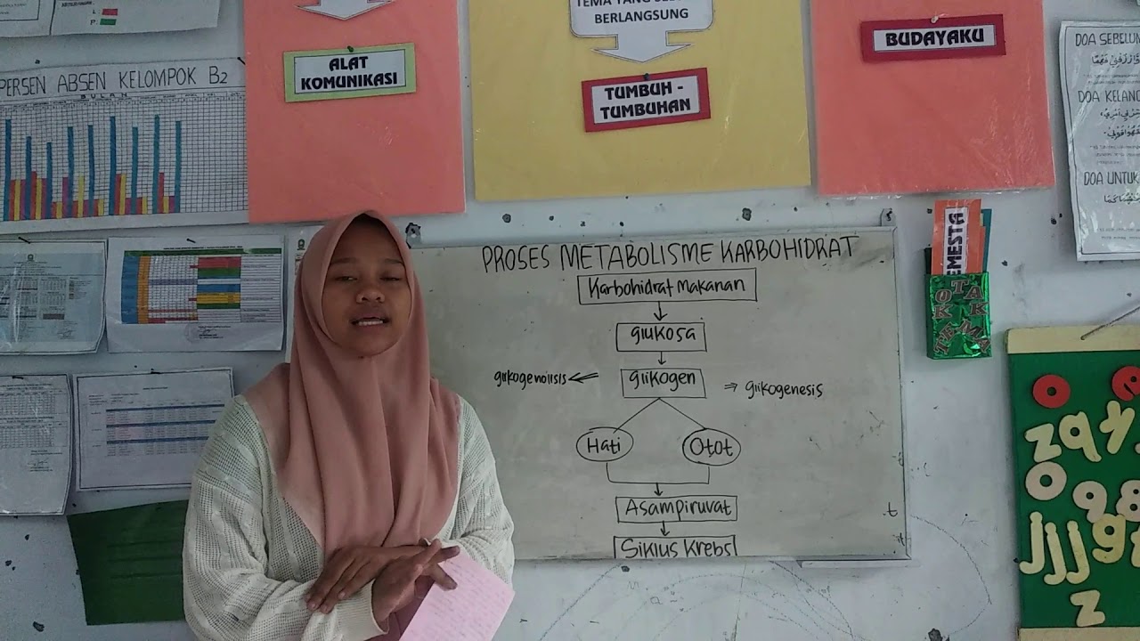 Metabolisme Karbohidrat 