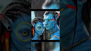 What Was The Difference Between Navi And Avatars?