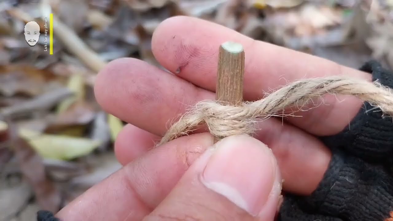 4 กับดักสัตว์ ที่สามารถนำไปใช้ได้ตลอดเวลาที่ต้องการ