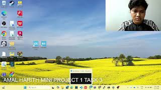 mini project 1 task 3