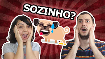 O que fazer com cachorro que não consegue ficar sozinho?