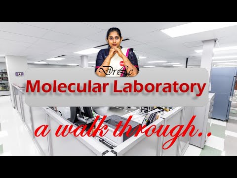Molecular laboratory Setup - Complete Walkthrough..
