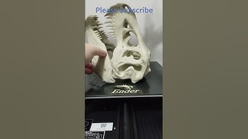 T Rex 3D printed Whole Skull time lapse Short