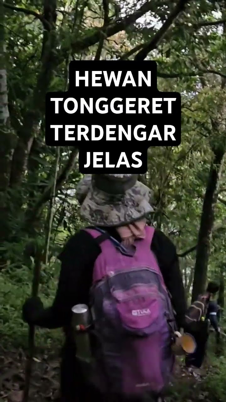 JALAN KAKI MENJELANG MALAM