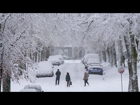 Storm coverage | Sudden winter storm dumps snow on much of B.C.