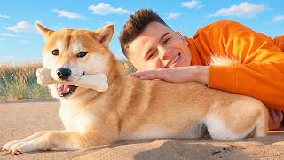 ♪ SMILESLOW - SHIBA🦴feat. PATI [ZWIASTUN] ♪ (PREMIERA ZA 3 DNI) screenshot 2