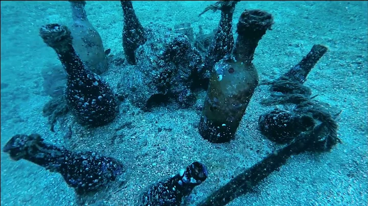 Tides of Renewal: 120 day Update