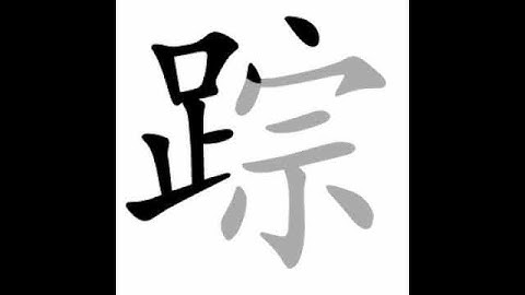 how to write chinese 踪丨Chinese stroke order中文汉字笔顺动画