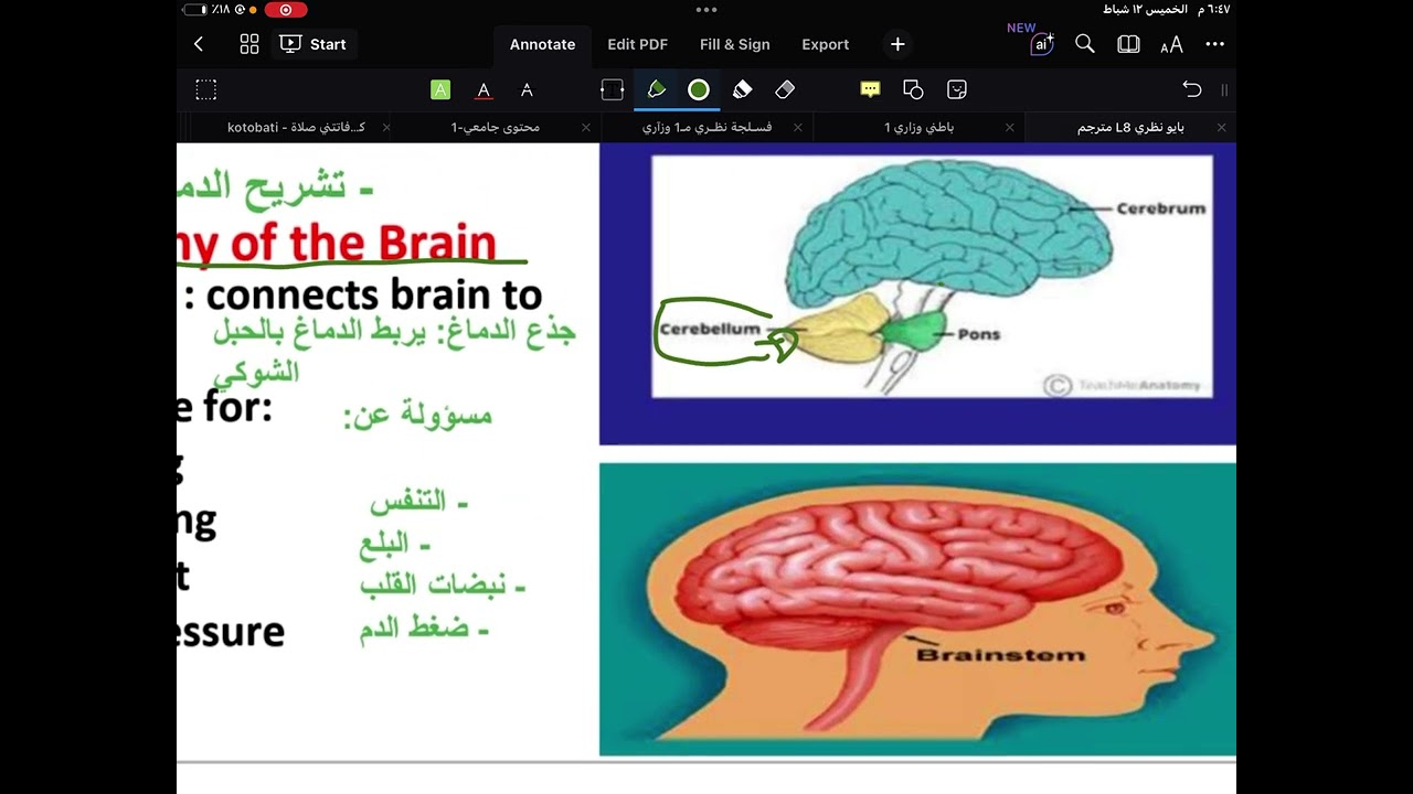 فارما ١ | تشريح ٨