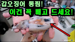갑오징어 통찜 이건 꼭 빼고 드셔요! 갑오징어 낚시, 손질법