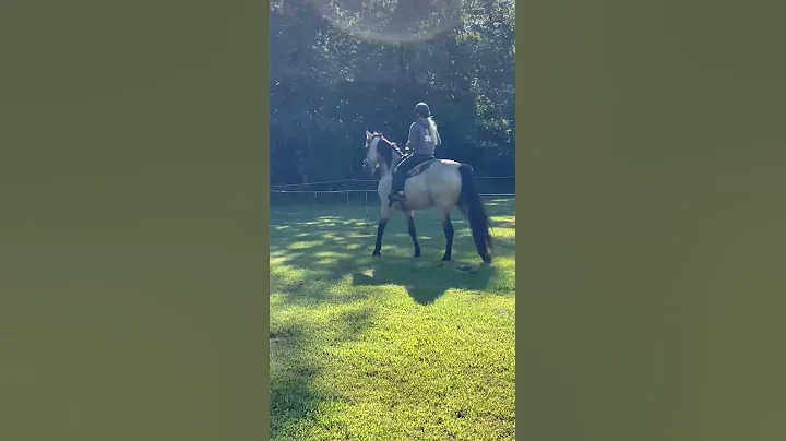 Phoenix Day 2 under saddle with Anna Pfeiffer