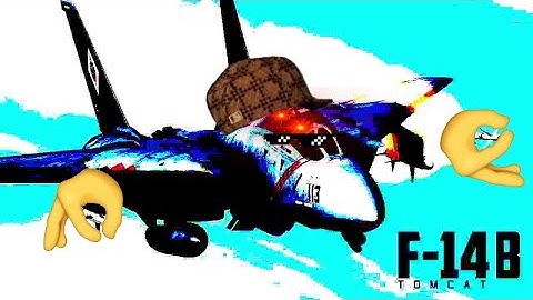 DCS world: F-14B, but the pilots inexperienced, and his opponent is even more inexperienced