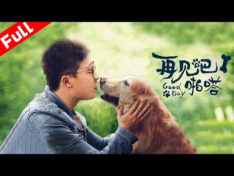 《再見吧，啪嗒！》中國版忠犬八公慘遭拋棄 ｜國語高清1080P
