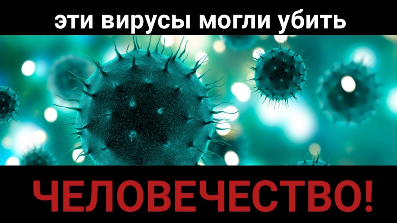 Топ вирусов. Самые опасные вирусы 21 века. Самый страшный вирус в мире. Самый опасный вирус в мире для компьютера. Опасные вирусы в мире