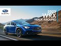 2023 Subaru WRX Walk Around - Meet the uncommon everyday sports car.