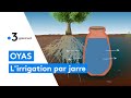 Oyas  ces jarres enterres irriguent directement les plantes les conomies deau sont consquentes