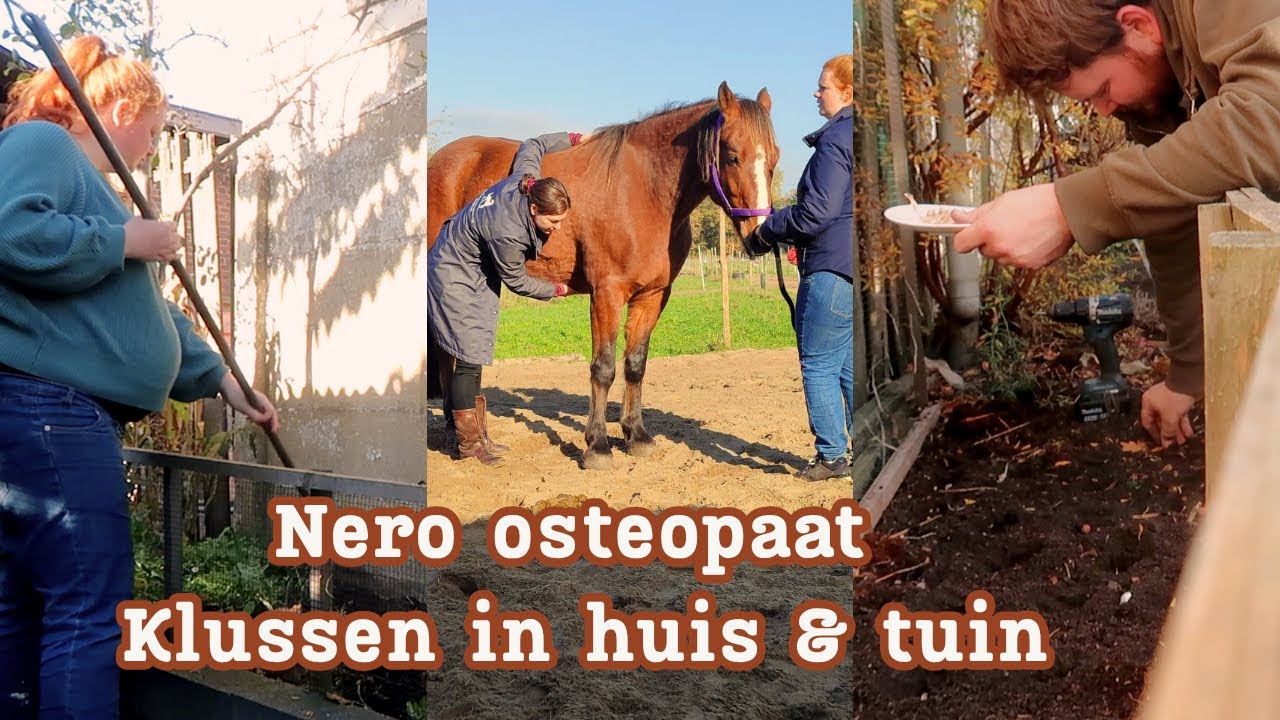 Klussen in huis & tuin, Nero naar osteopaat & Hoe duur zijn dieren? | Elyse Nesia
