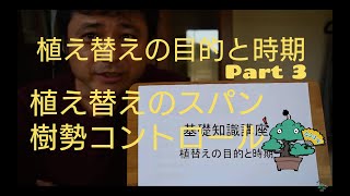 植え替えの目的とタイミング　第3回　植え替えのスパン 盆栽お手入れ講座