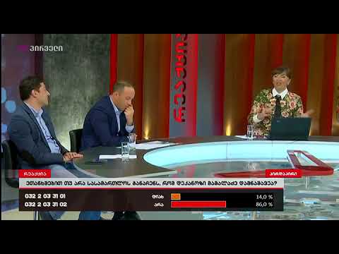 როდემდე უნდა იცხოვროს ქვეყანამ ეჭვიანობებით? - ინგა გრიგოლიას რეპლიკა