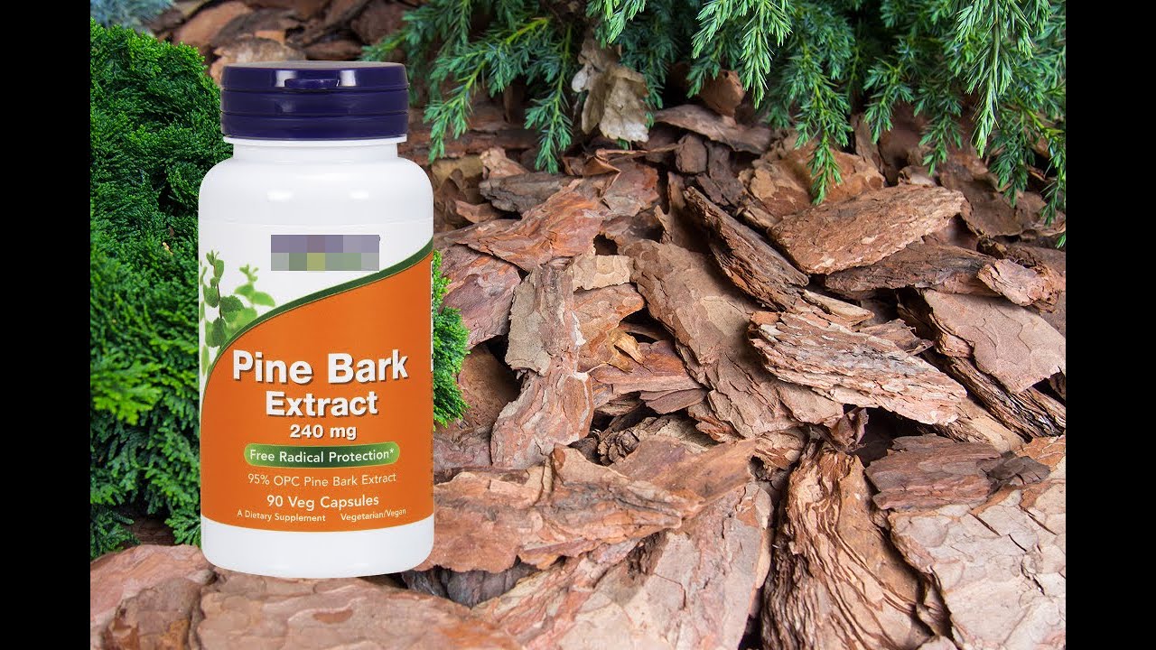 Pine Bark Extracts Anti inflammatory, Antioxidant Neuroprotective